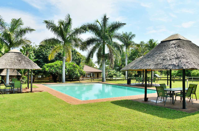 Afrique du Sud - Parc national Kruger - Nelspruit - Elephant Walk tented camp