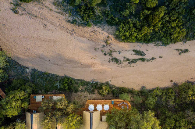 Afrique du Sud - Thornybush Nature Reserve - Thornybush Game Lodge