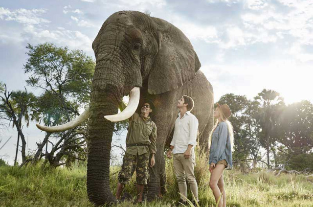 Botswana - Delta de l'Okavango - Baines' Camp