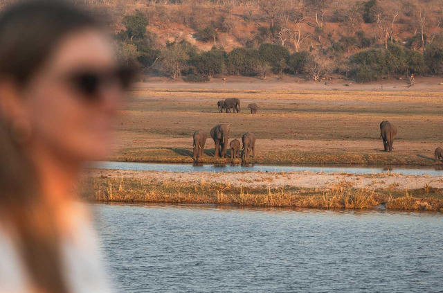 Botswana - Rivière Chobe - Croisière sur le Chobe princess - Vue sur les animaux