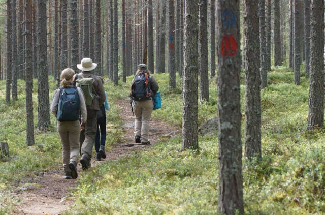 marche guidée avec recherche des traces d'ours 2-3h  