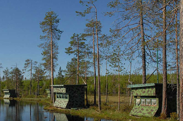 Nuit en affut au Wild Brown Bear