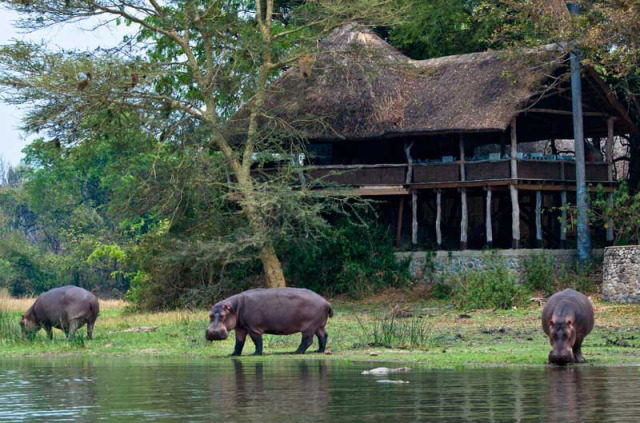 Malawi - Liwonde National Park - Mvuu Lodge