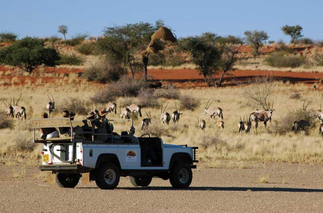 Namibie - Kalahari - Sundowner à Anib Lodge