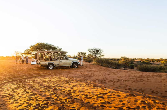 Namibie - Désert du Kalahari - Excursion dans la réserve du Kalahari Anib Lodge