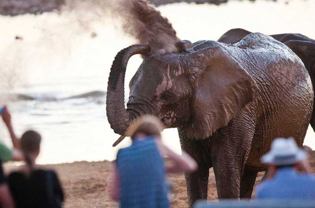 Namibie - Etosha - Okaukuejo Camp