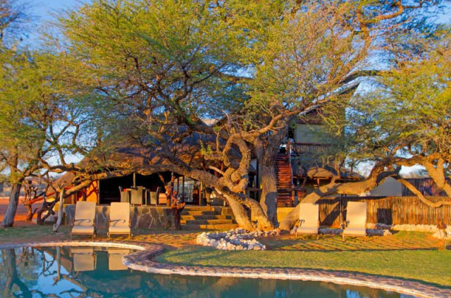 Namibie - Kalahari - Intu Africa Camelthorn Kalahari Lodge