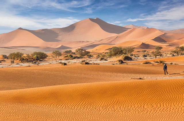 Namibie - Désert du Namib