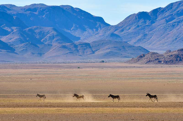 Namibie - Namibrand ©Shutterstock, Feli Lipov