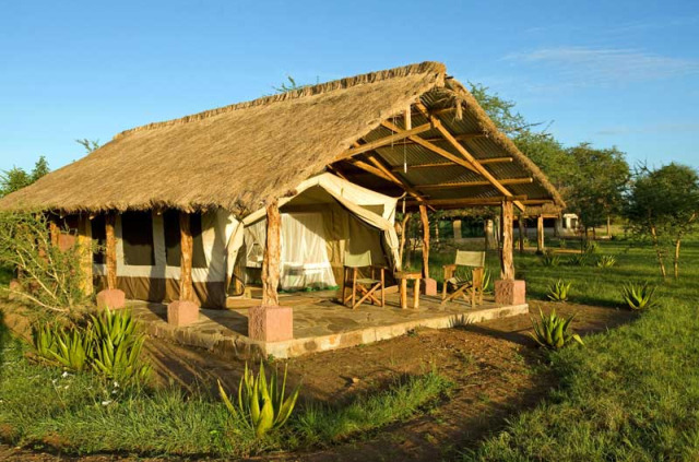 Tanzanie - Serengeti centre nord - Ikoma Tented Camp