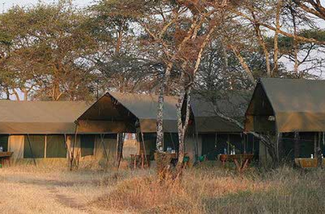 Tanzanie - Serengeti centre - Kati Kati Camp