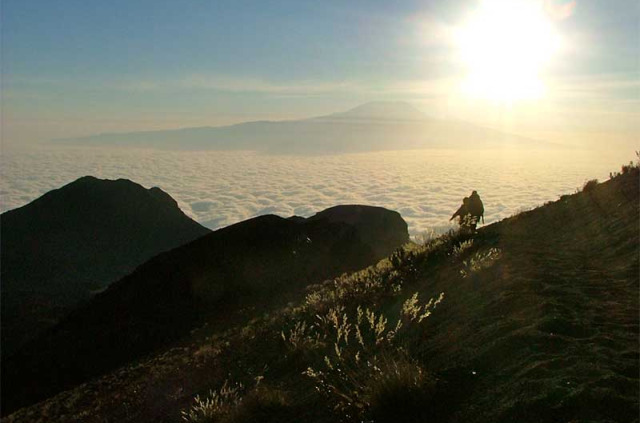 Tanzanie - Ascension du Kilimanjaro - Hors Pistes
