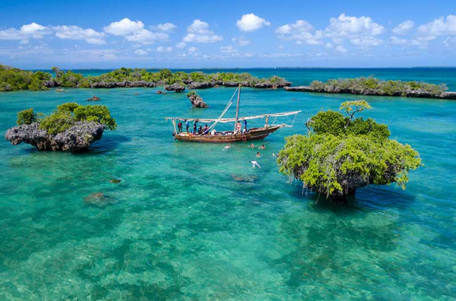 Tanzanie - Zanzibar - Croisière Safari Blue ©Shutterstock, Olesya Lesly