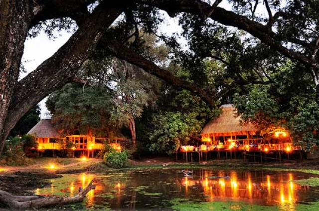 Zambie - South Luangwa NP - Bilimungwe Bushcamp