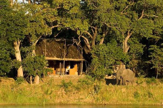 Zambie - South Luangwa NP - Kapamba Bushcamp