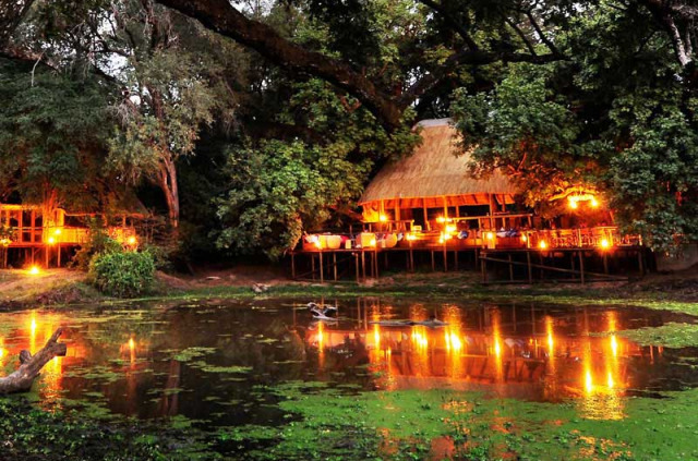 Zambie - South Luangwa - Bilimungwe Bush Camp