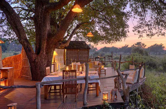 Zambie - South Luangwa - Flatdogs Camp