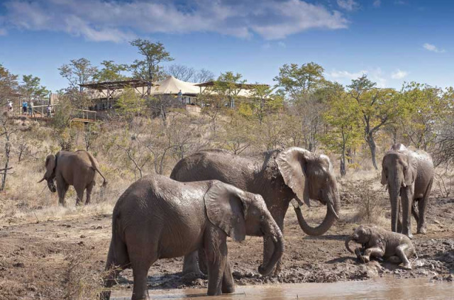 Zimbabwe - Chutes Victoria - Elephant Camp