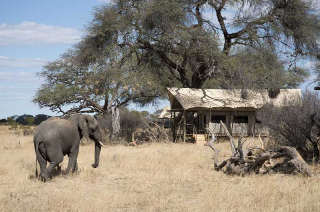 Zimbabwe - Hwange - Somalisa Expedition